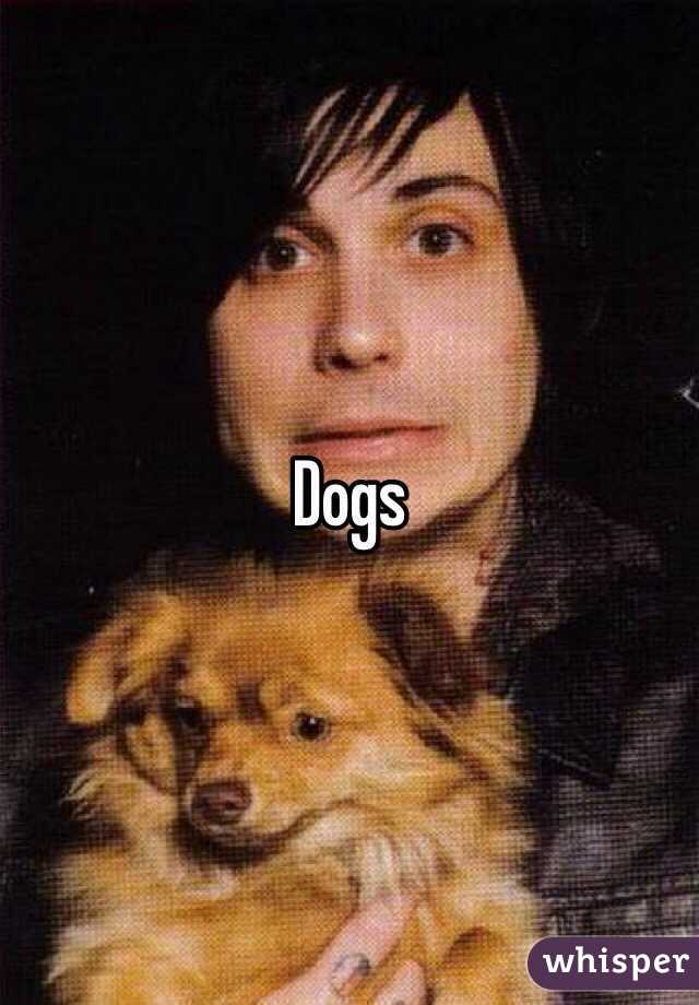 Dogs 