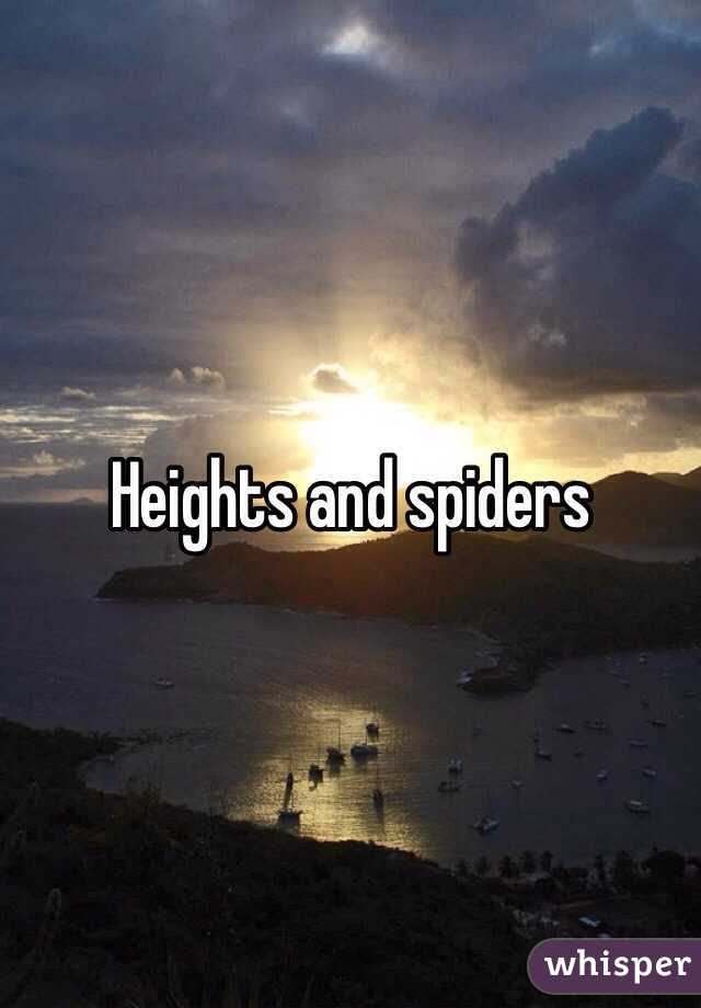 Heights and spiders