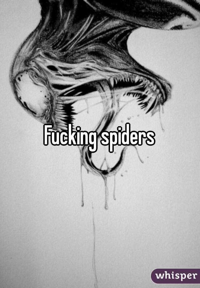 Fucking spiders