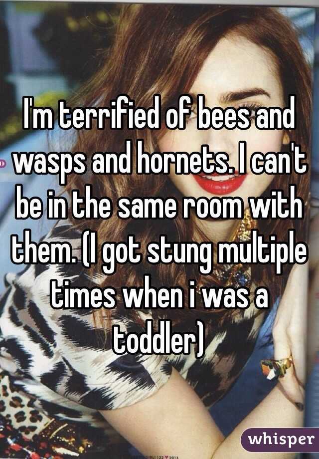 I'm terrified of bees and wasps and hornets. I can't be in the same room with them. (I got stung multiple times when i was a toddler)