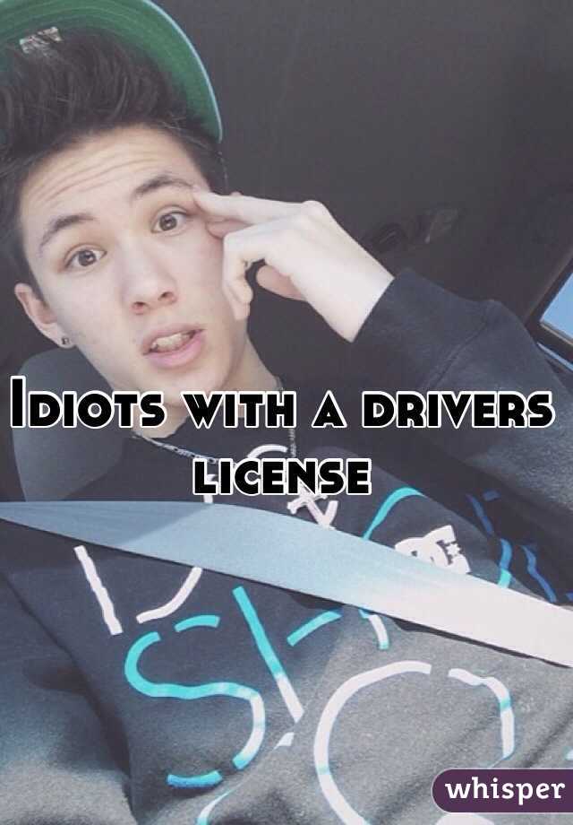 Idiots with a drivers license