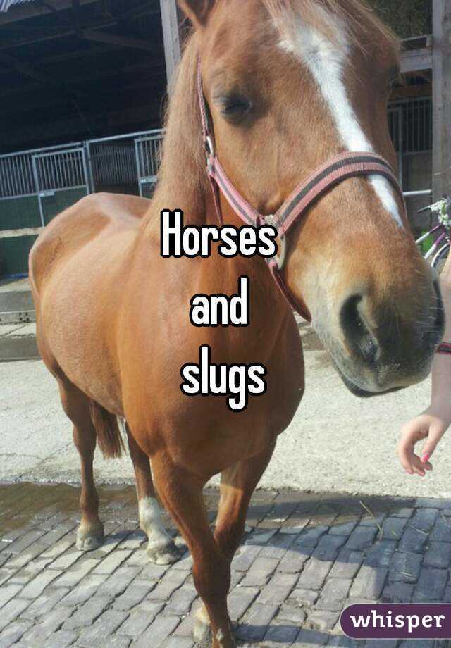 Horses 
and 
slugs