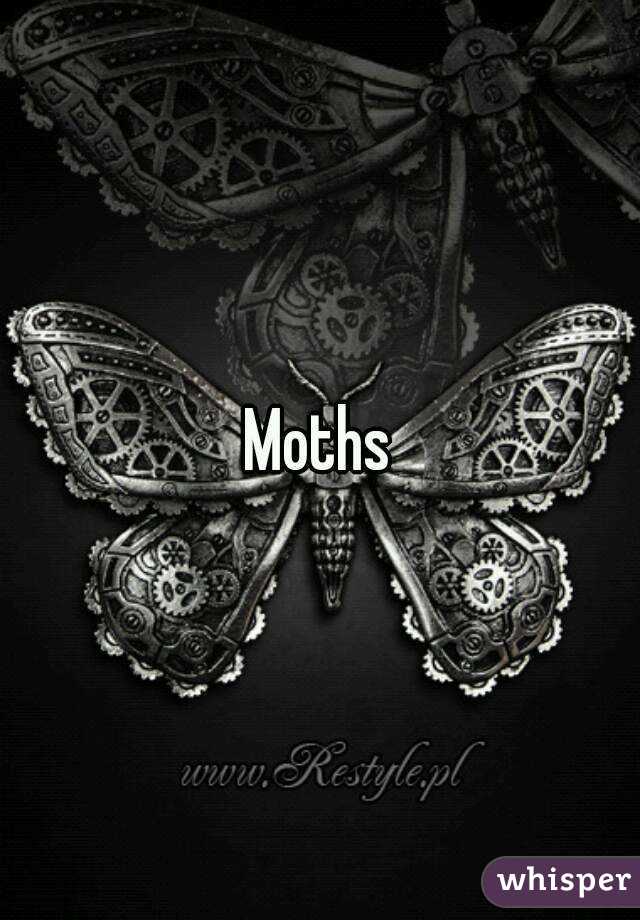 Moths