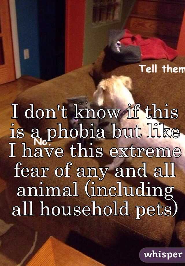 I don't know if this is a phobia but like I have this extreme fear of any and all animal (including all household pets) 
