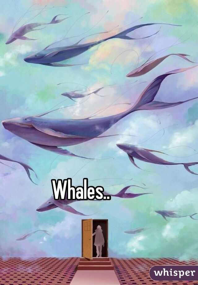 Whales..