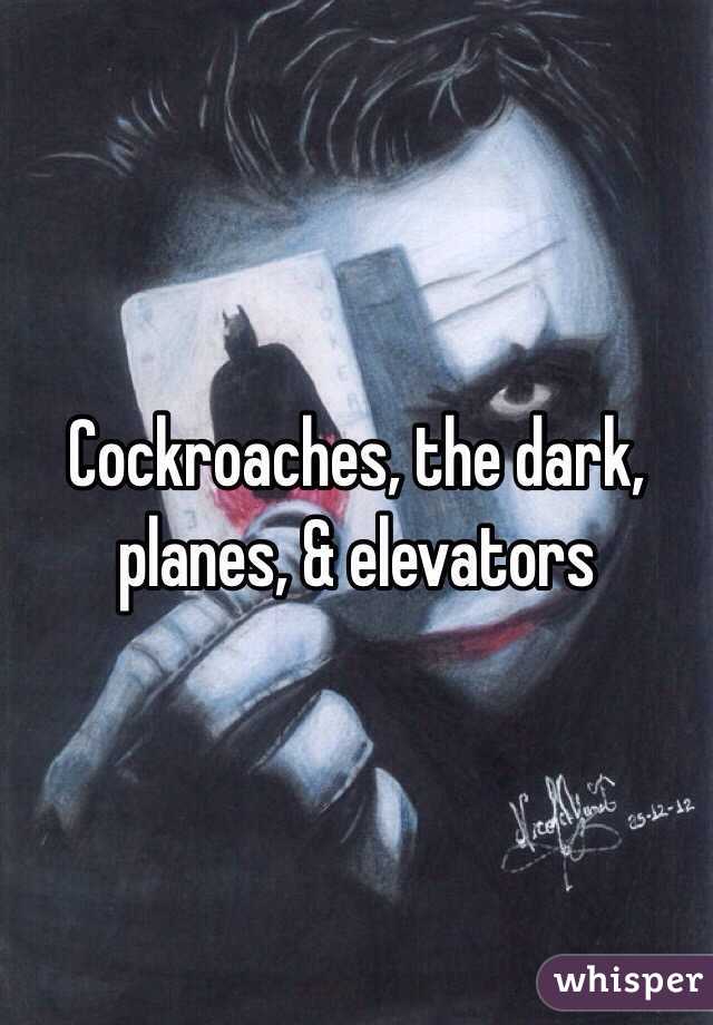 Cockroaches, the dark, planes, & elevators 