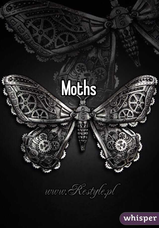 Moths