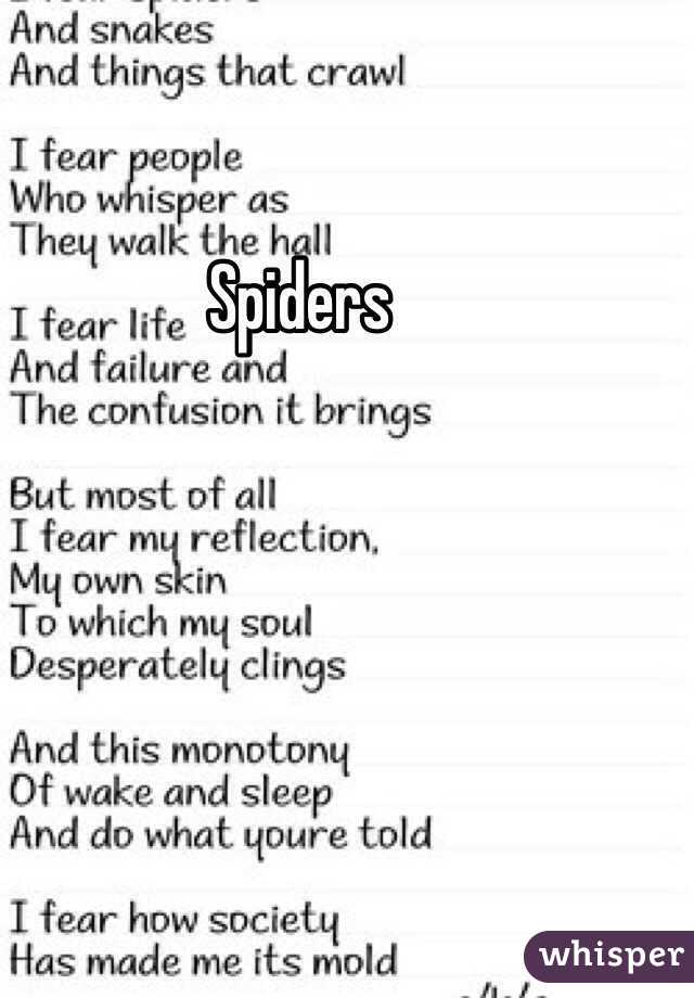 Spiders