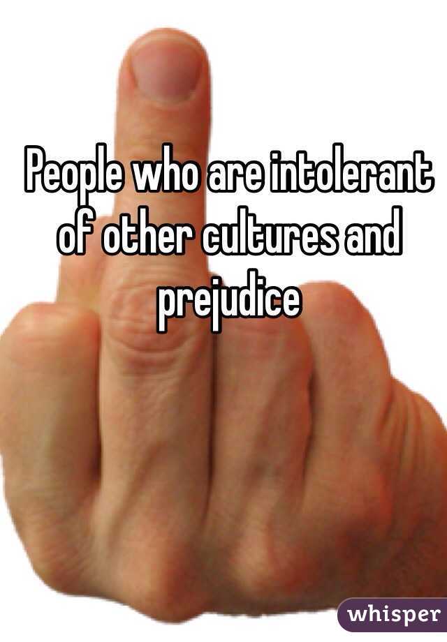 People who are intolerant of other cultures and prejudice 