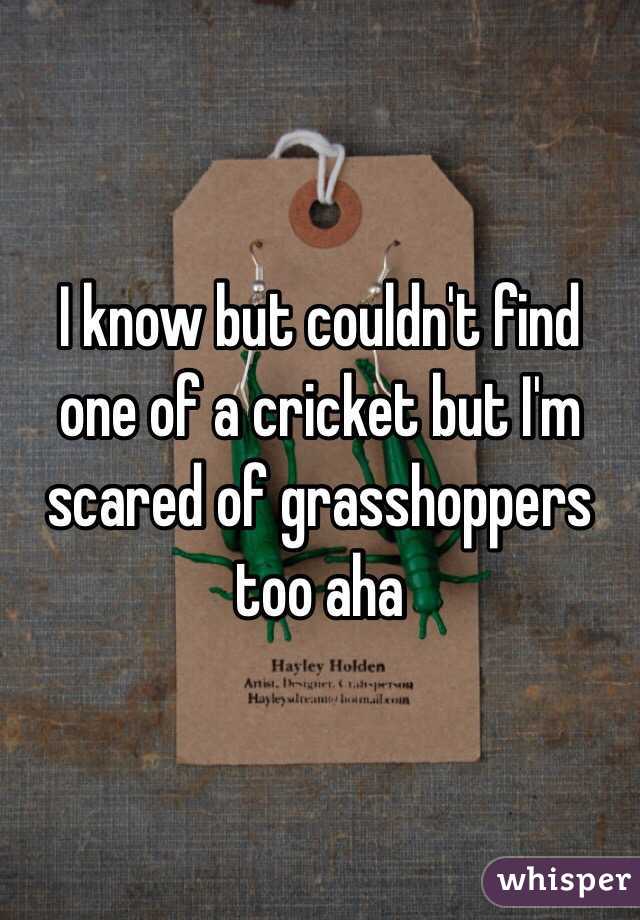 I know but couldn't find one of a cricket but I'm scared of grasshoppers too aha 