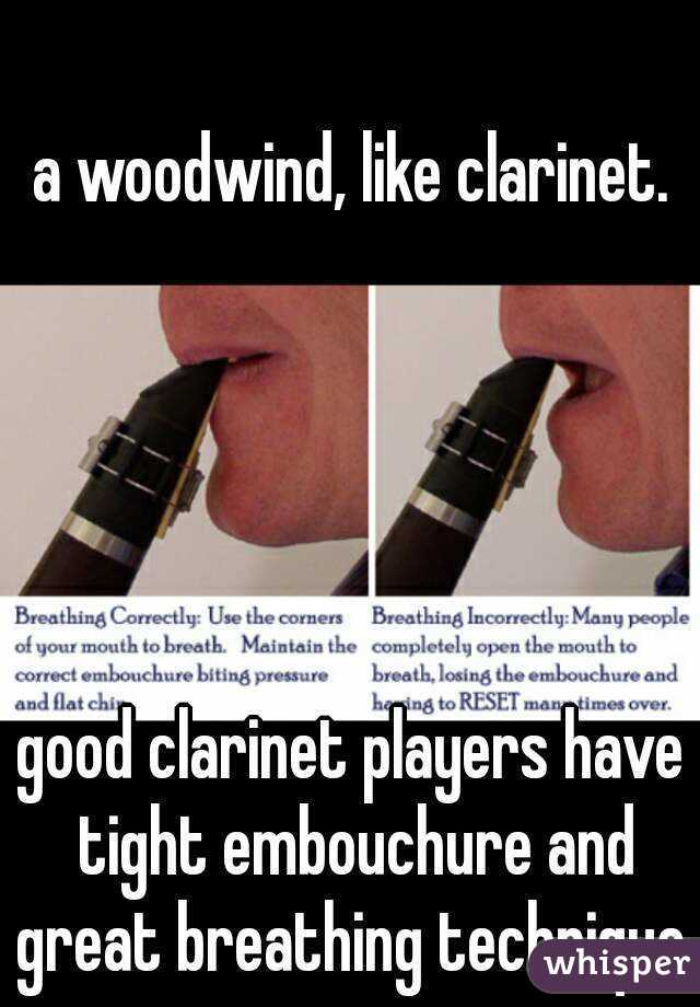 a woodwind, like clarinet.
 
 
  
 

good clarinet players have tight embouchure and great breathing technique.