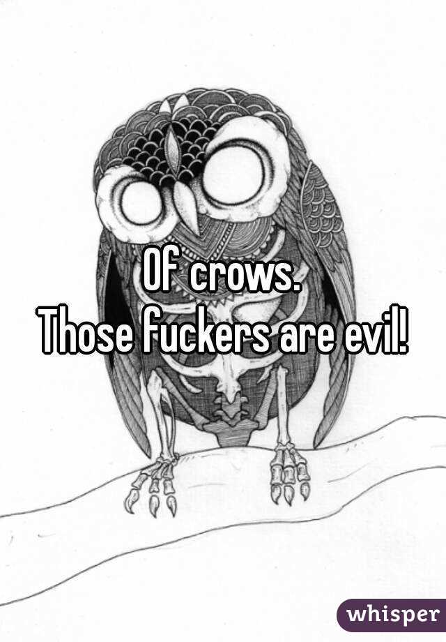 Of crows.
Those fuckers are evil!