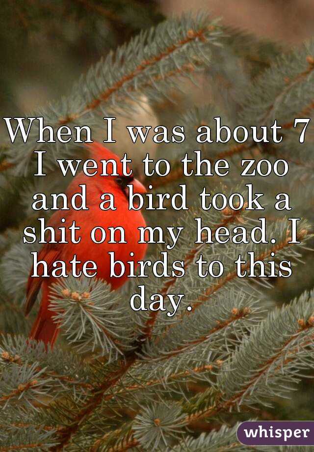 When I was about 7 I went to the zoo and a bird took a shit on my head. I hate birds to this day.