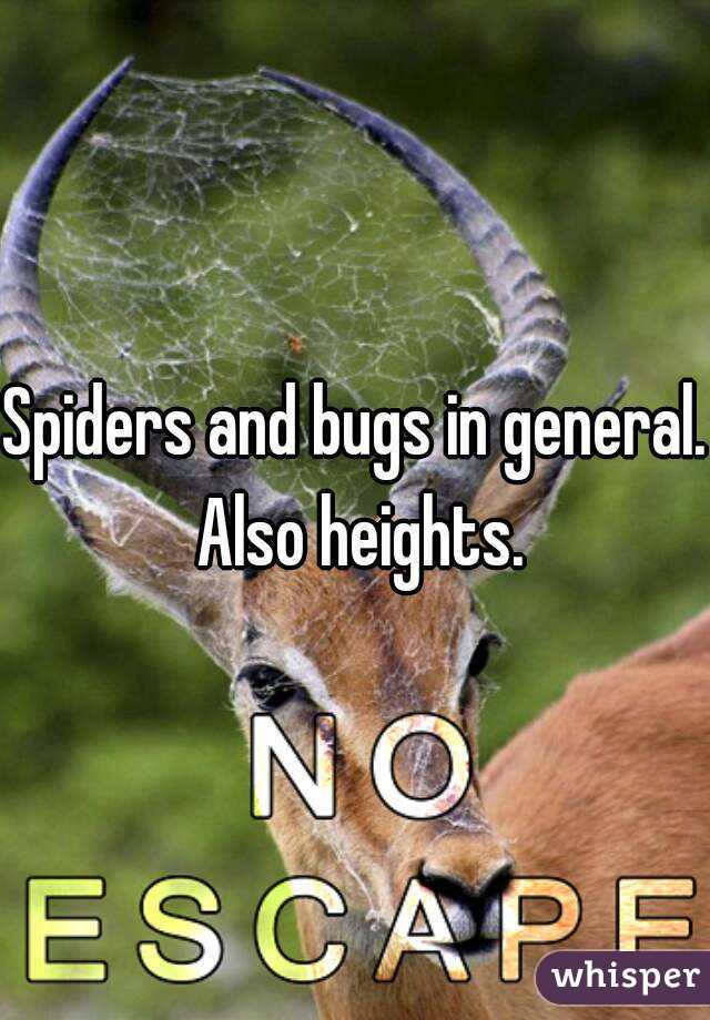 Spiders and bugs in general. Also heights.