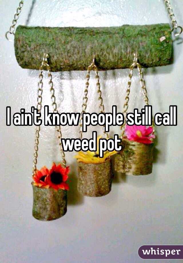 I ain't know people still call weed pot