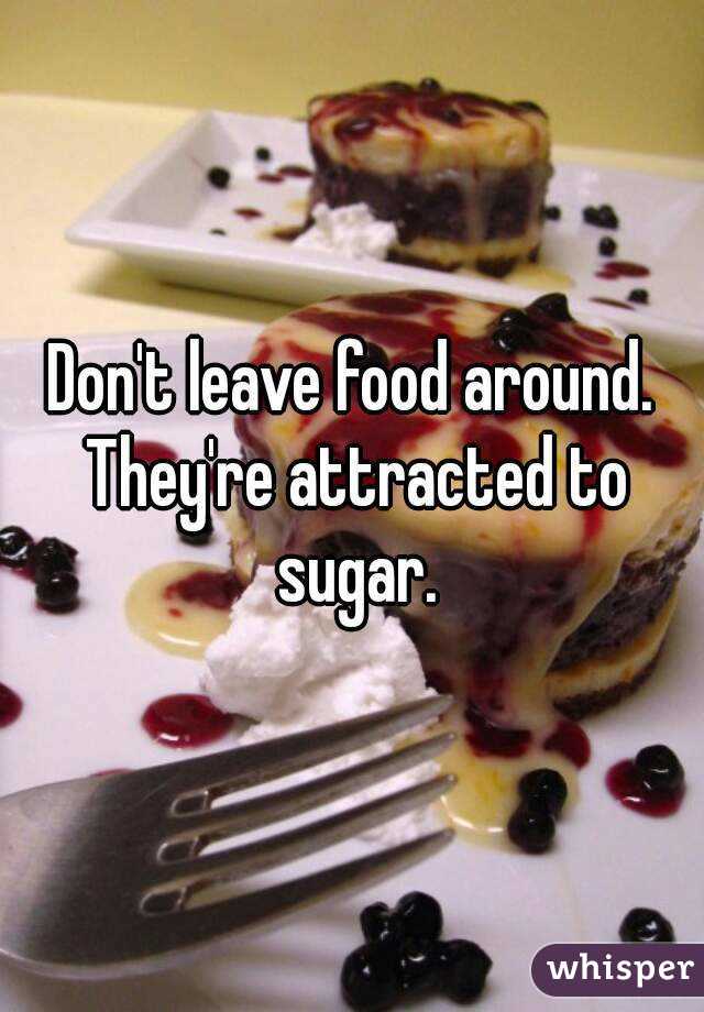 Don't leave food around. They're attracted to sugar.