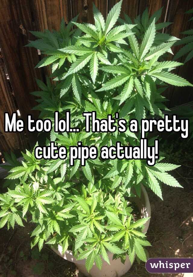 Me too lol... That's a pretty cute pipe actually!