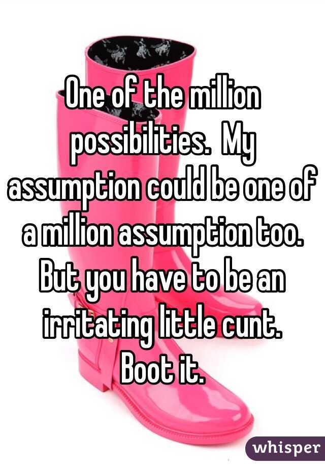 One of the million possibilities.  My assumption could be one of a million assumption too. But you have to be an irritating little cunt.
Boot it.