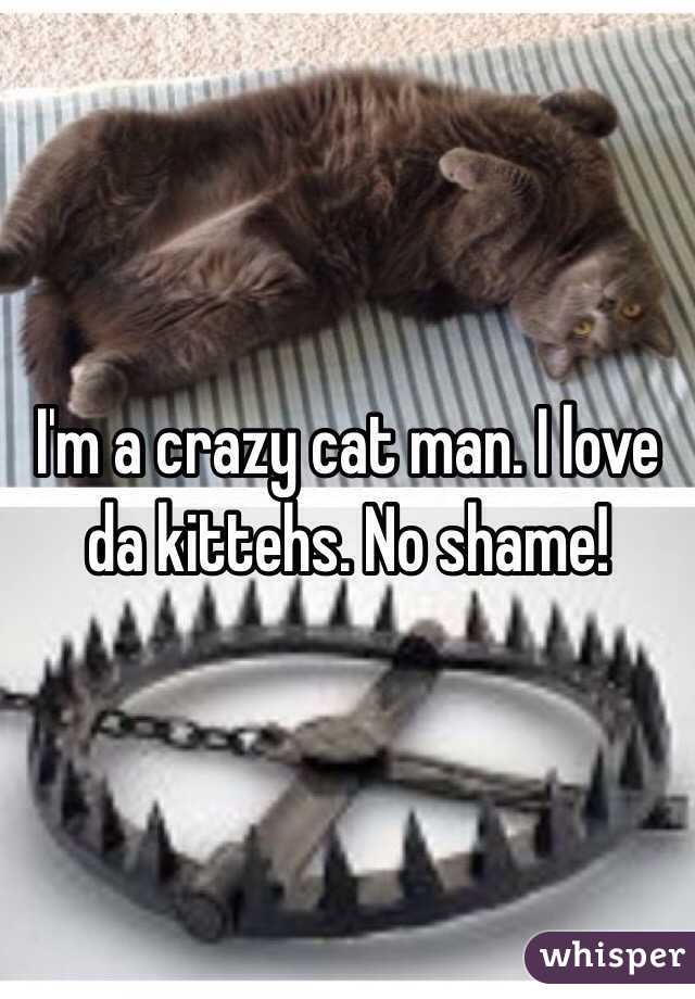 I'm a crazy cat man. I love da kittehs. No shame!