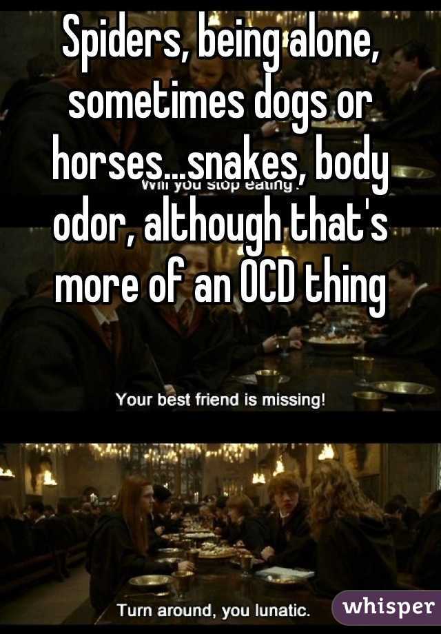 Spiders, being alone, sometimes dogs or horses...snakes, body odor, although that's more of an OCD thing
