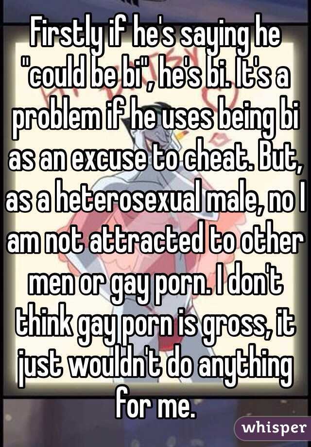 Firstly if he's saying he "could be bi", he's bi. It's a problem if he uses being bi as an excuse to cheat. But, as a heterosexual male, no I am not attracted to other men or gay porn. I don't think gay porn is gross, it just wouldn't do anything for me. 