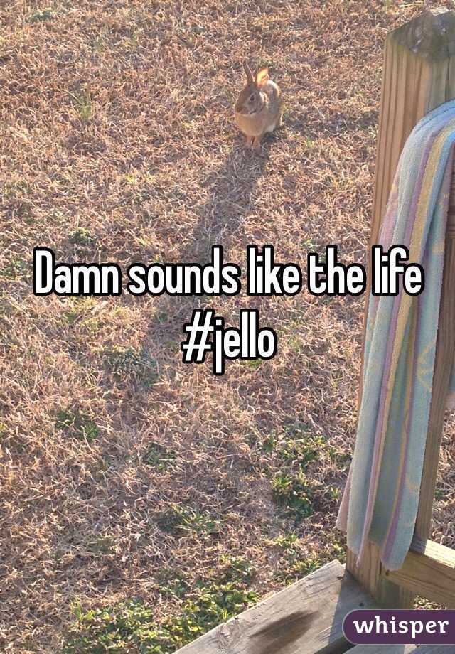 Damn sounds like the life #jello