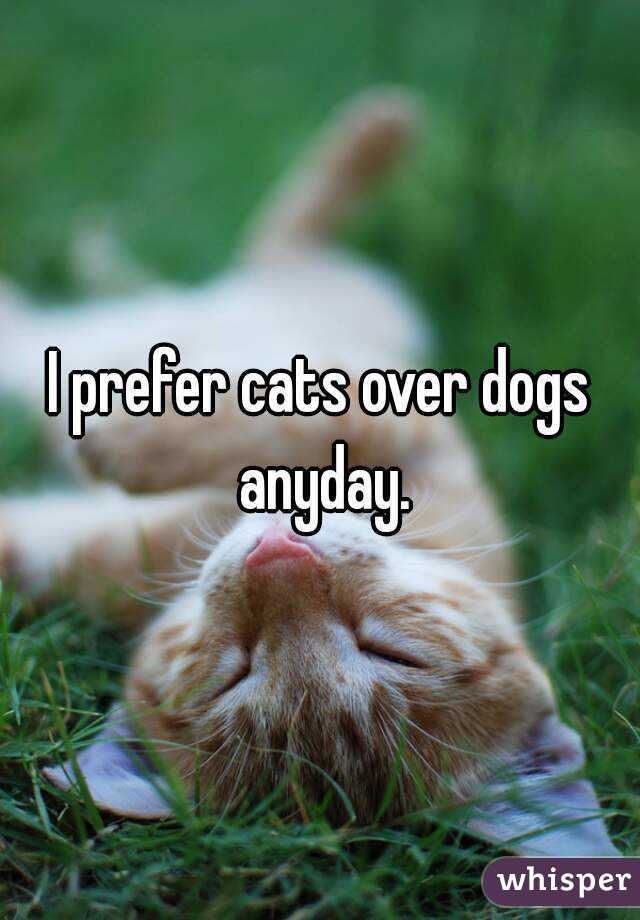 I prefer cats over dogs anyday.