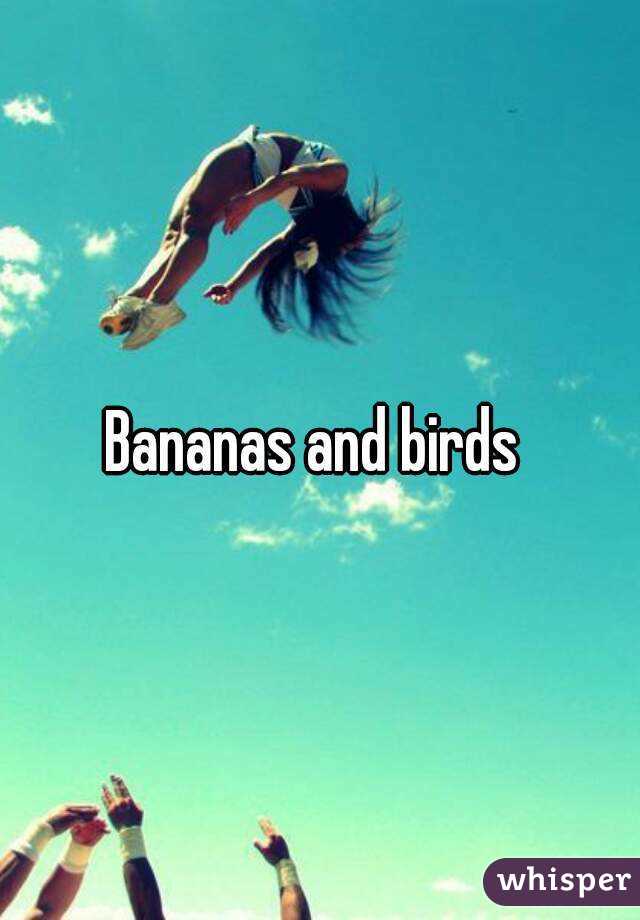 Bananas and birds 