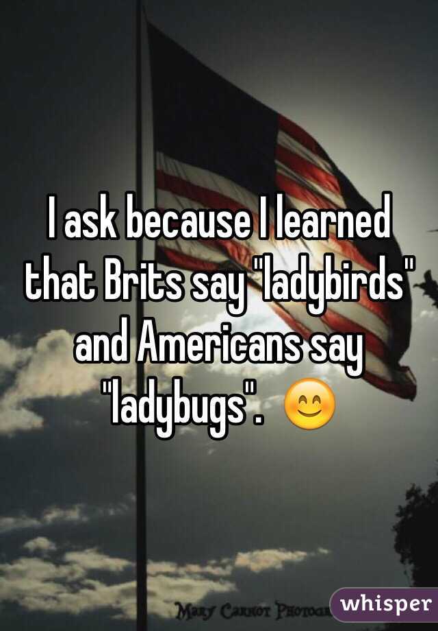 I ask because I learned that Brits say "ladybirds" and Americans say "ladybugs".  😊