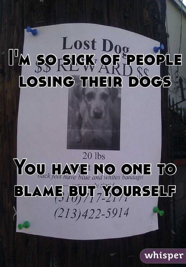 I'm so sick of people losing their dogs



You have no one to blame but yourself 