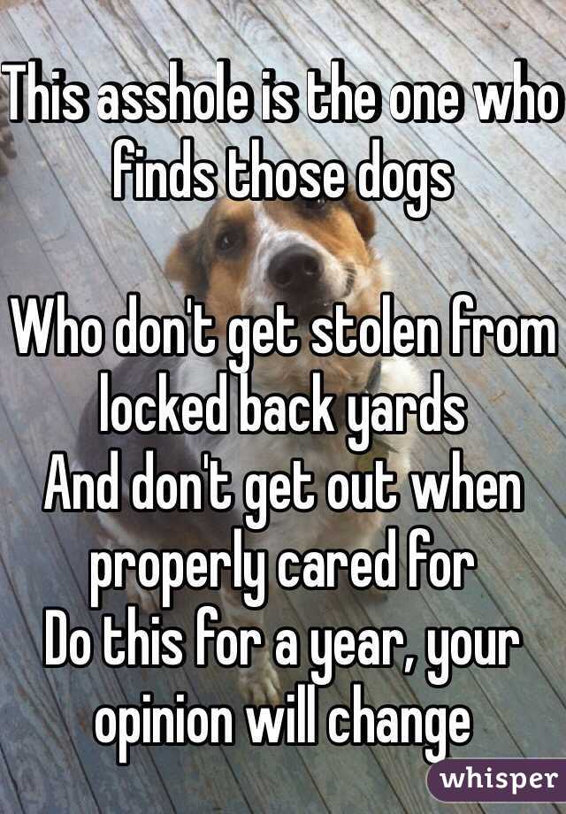 This asshole is the one who finds those dogs 

Who don't get stolen from locked back yards
And don't get out when properly cared for 
Do this for a year, your opinion will change