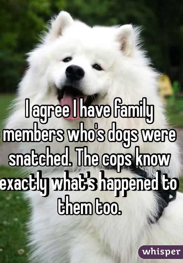 I agree I have family members who's dogs were snatched. The cops know exactly what's happened to them too.