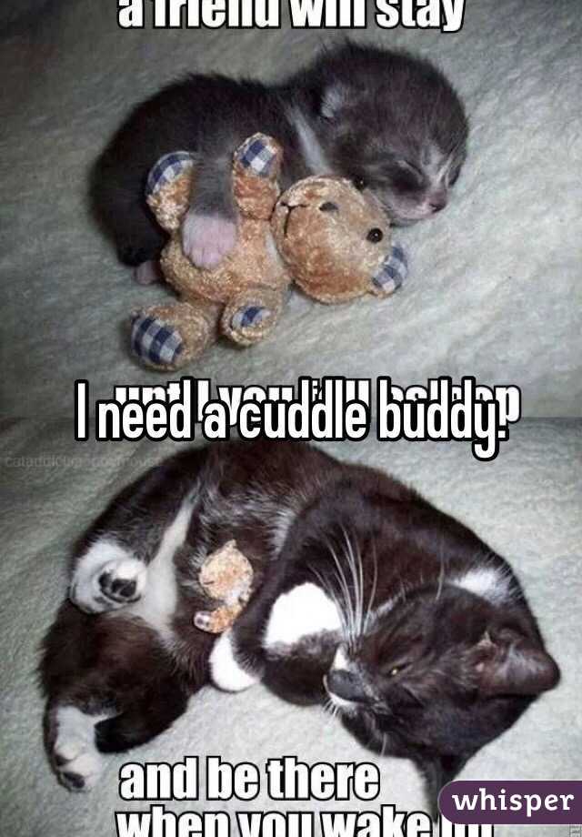 I need a cuddle buddy.  