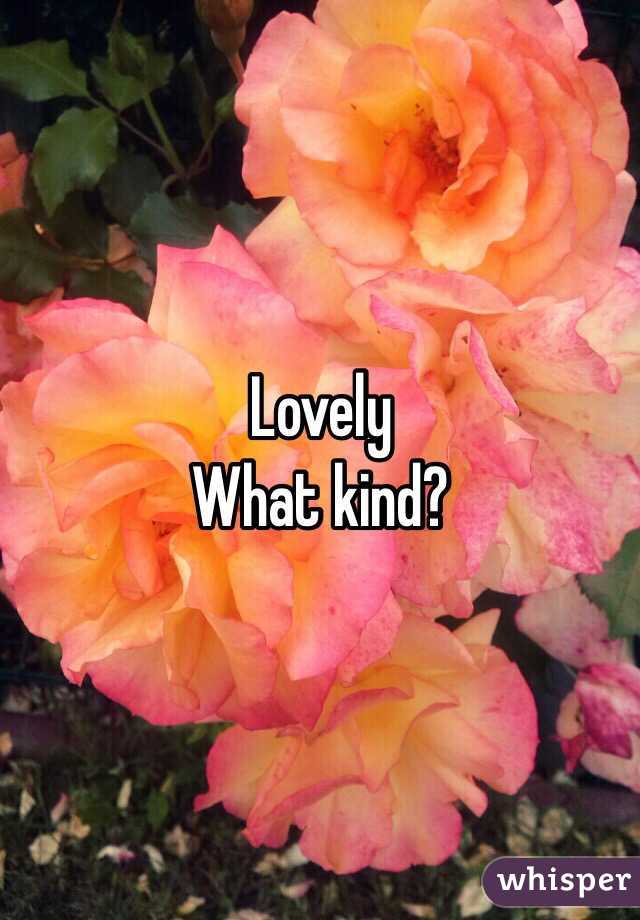 Lovely
What kind?