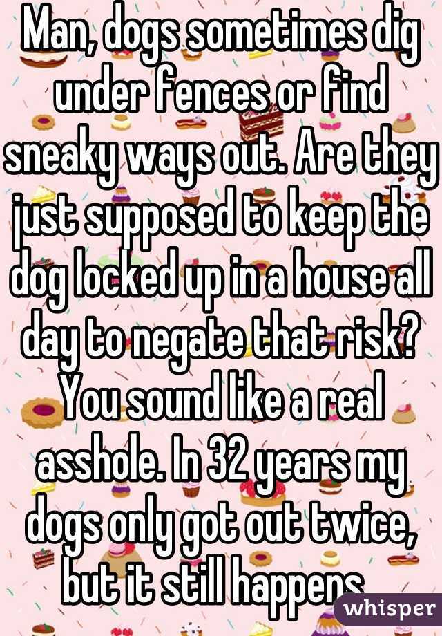 Man, dogs sometimes dig under fences or find sneaky ways out. Are they just supposed to keep the dog locked up in a house all day to negate that risk? You sound like a real asshole. In 32 years my dogs only got out twice, but it still happens. 
