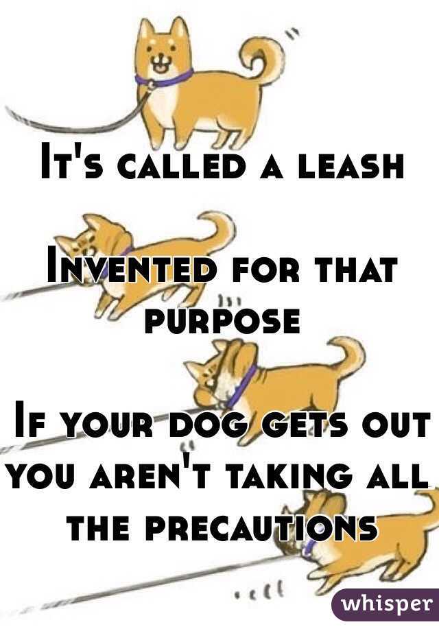 It's called a leash 

Invented for that purpose 

If your dog gets out you aren't taking all the precautions 