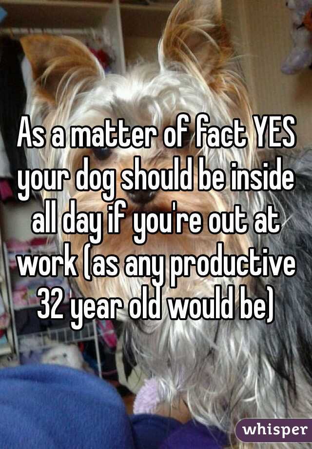 As a matter of fact YES your dog should be inside all day if you're out at work (as any productive 32 year old would be)