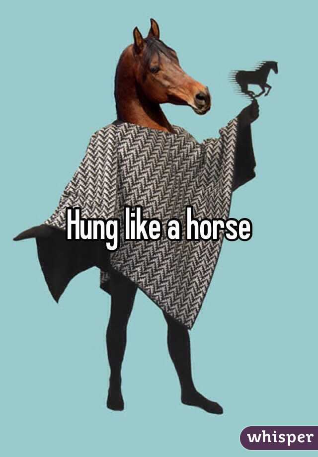 Hung like a horse 