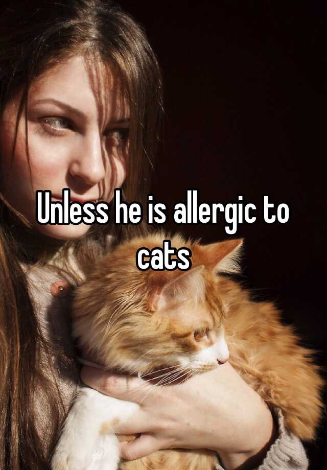 unless-he-is-allergic-to-cats