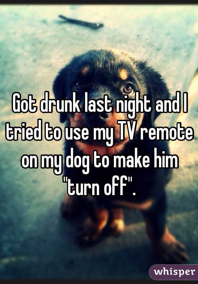 Got drunk last night and I tried to use my TV remote on my dog to make him "turn off". 