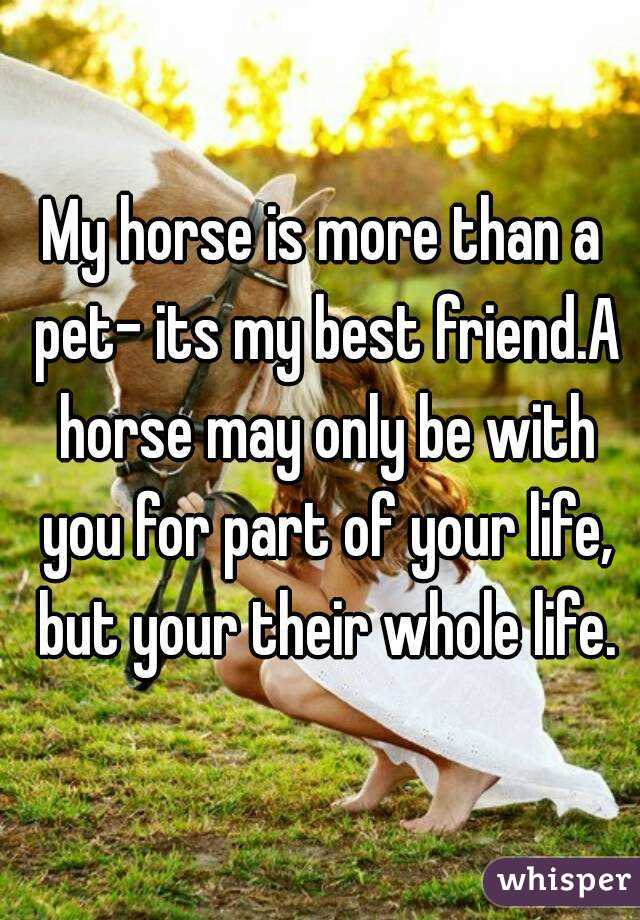 My horse is more than a pet- its my best friend.A horse may only be with you for part of your life, but your their whole life.