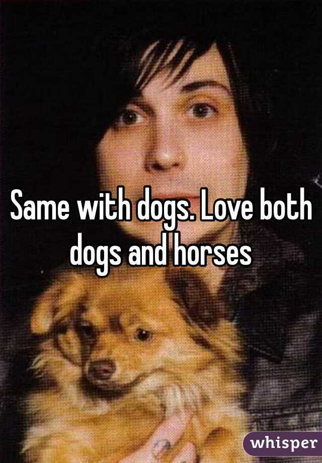 Same with dogs. Love both dogs and horses