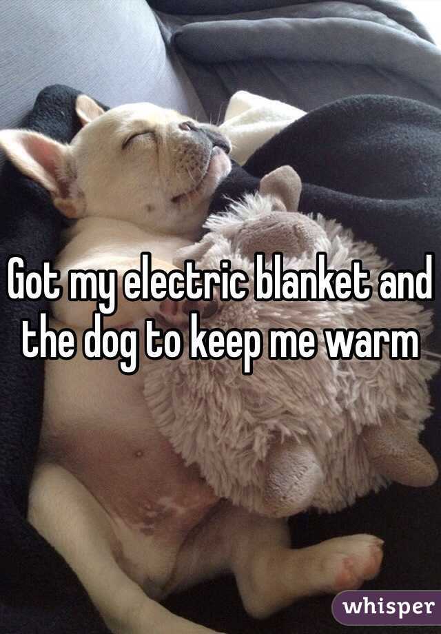 Got my electric blanket and the dog to keep me warm 