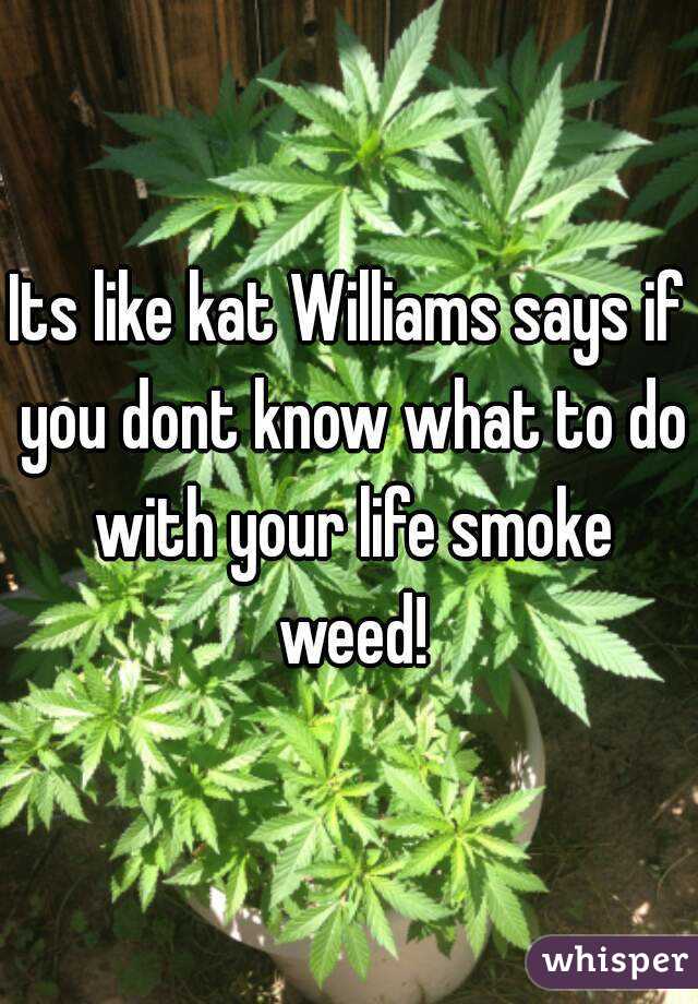 Its like kat Williams says if you dont know what to do with your life smoke weed!