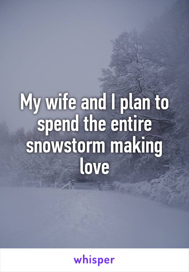 My wife and I plan to spend the entire snowstorm making love