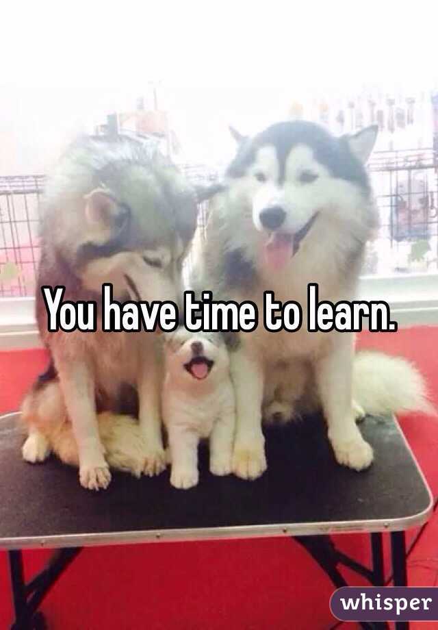 You have time to learn.