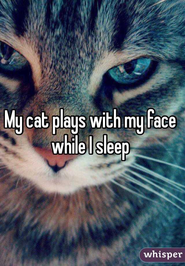 My cat plays with my face while I sleep 