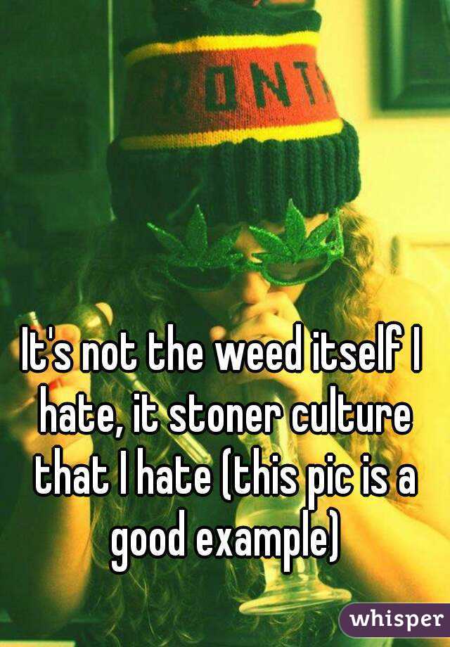 It's not the weed itself I hate, it stoner culture that I hate (this pic is a good example)