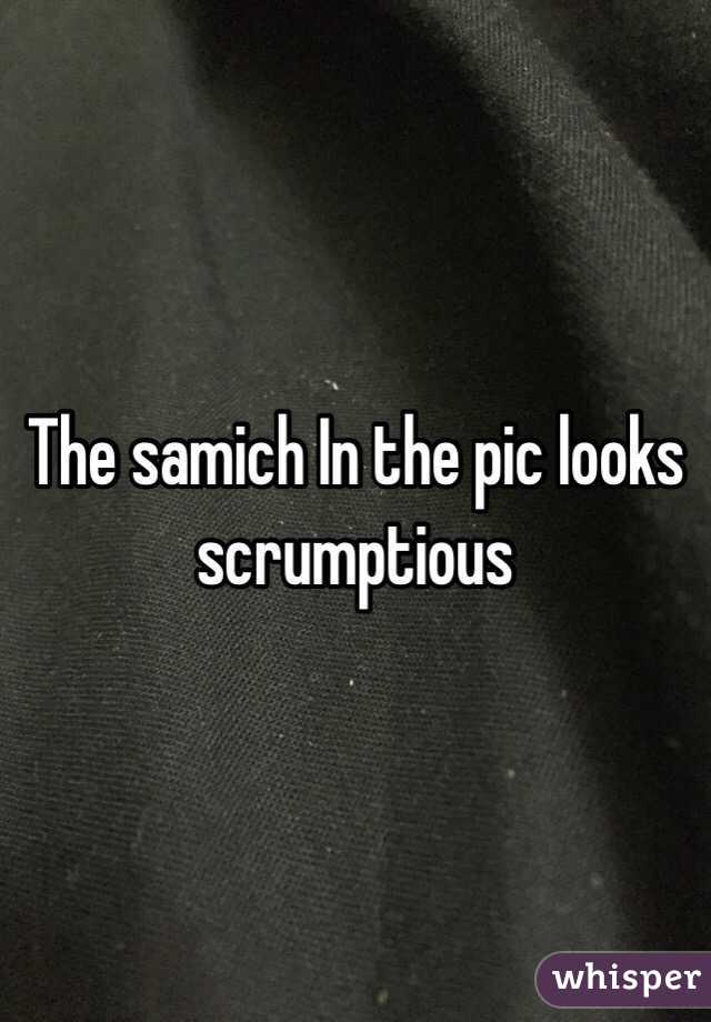 The samich In the pic looks scrumptious 