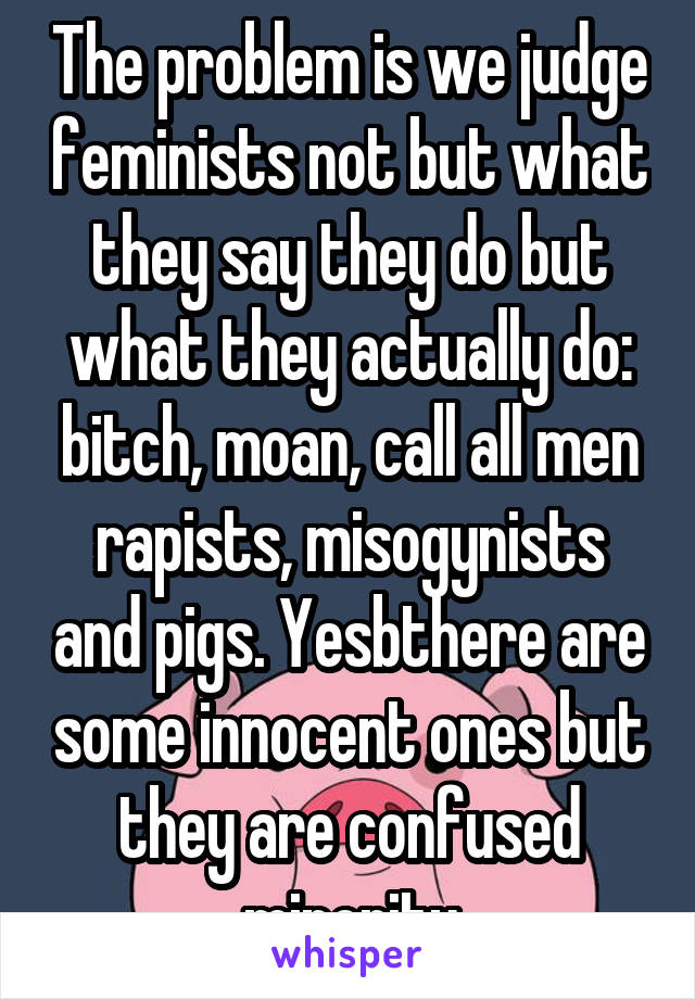 The problem is we judge feminists not but what they say they do but what they actually do: bitch, moan, call all men rapists, misogynists and pigs. Yesbthere are some innocent ones but they are confused minority